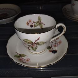 Adderley Fine Bone China Tea Cup And Saucer