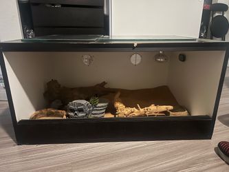 Reptile tank/stand