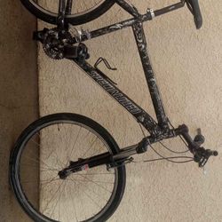 SPECIALIZED MTN BIKE