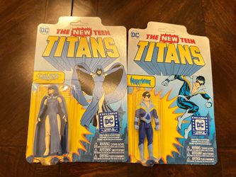 Funko DC exclusive Raven & Nightwing