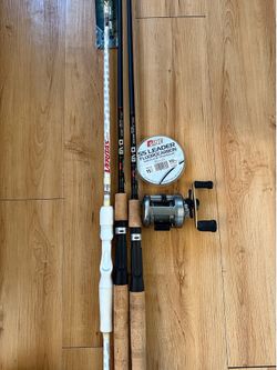 Fishing rods & reel
