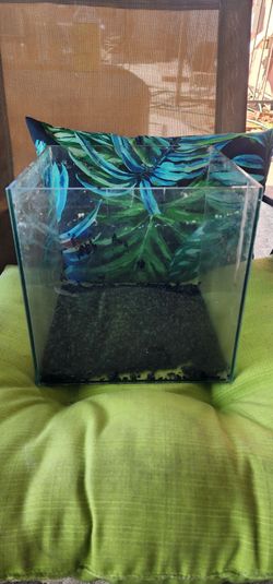 3 gal fish tank