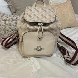 Backpack Coach