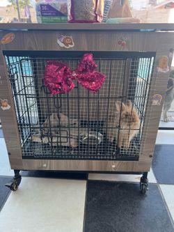 Rabbit cage with accessories
