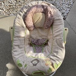 Baby Bouncer 
