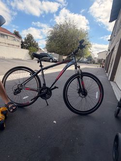 Schwinn bike 29 inch