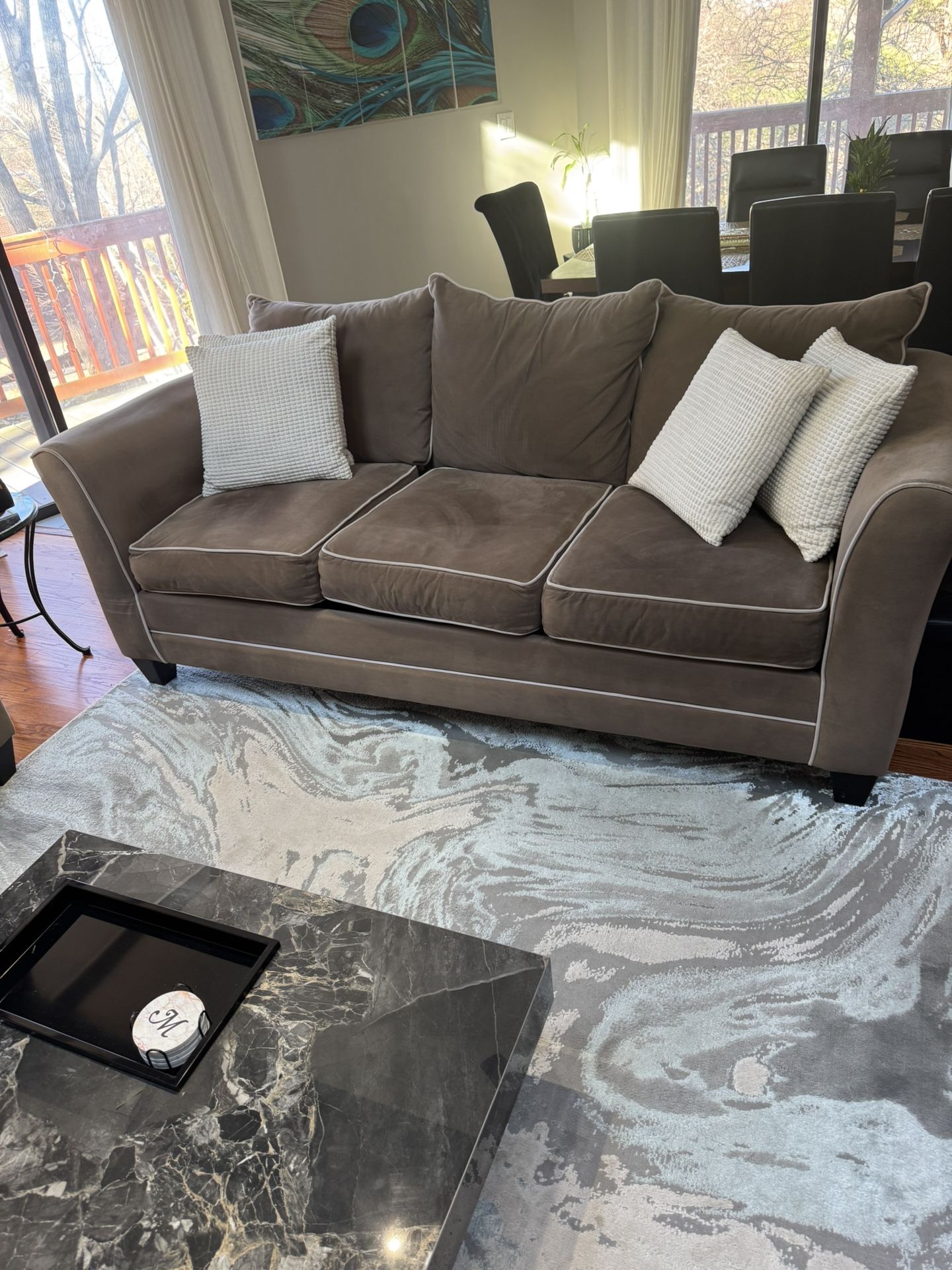 Living Room Couch 