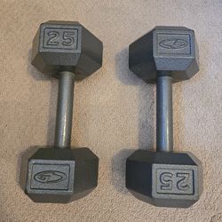 Pair of 25 lb Hex Dumbbells