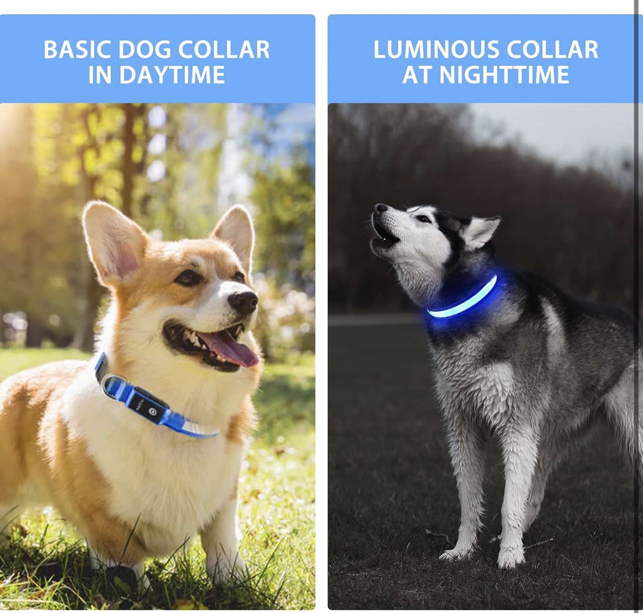 Led dog collar ( for small dogs )