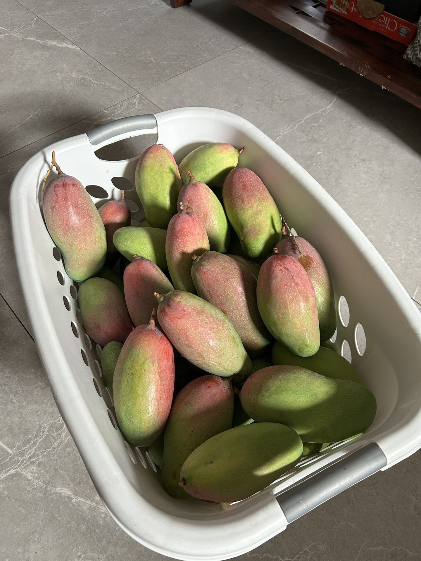 Valencia Pride Mangoes