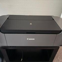 Canon Pixma Pro 100 Printer