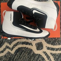 Nike Metal Baseball Cleats New