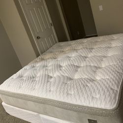 KING CHATTAM AND WELLS MATTRESS AND FREE BOX SPRINGS 