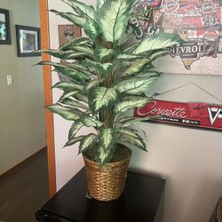 House Plant Faux