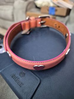 Coach Dog collar