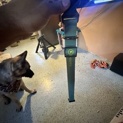 Backcountry X Petco Collar 