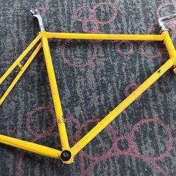 Medici 58 Cm Frameset (Campagnolo) 