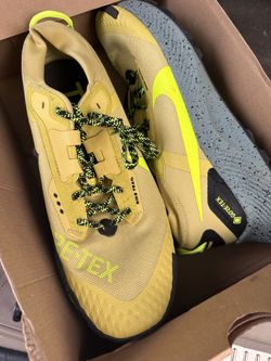 Nike Pegasus trail gortex