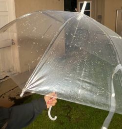 Umbrella