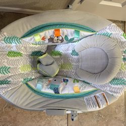 Baby Bouncer