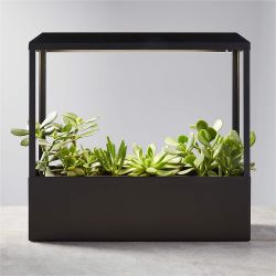 BLACK SMART GROWHOUSE FOR HERBS OR SUCCULENTS