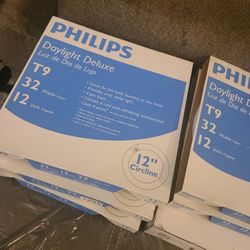 Philips Lights 