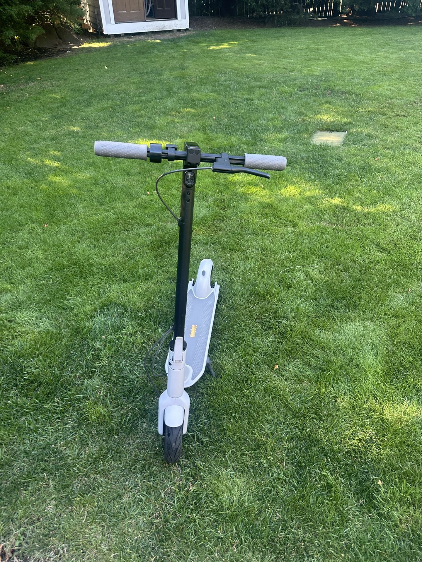 Segway Scooter