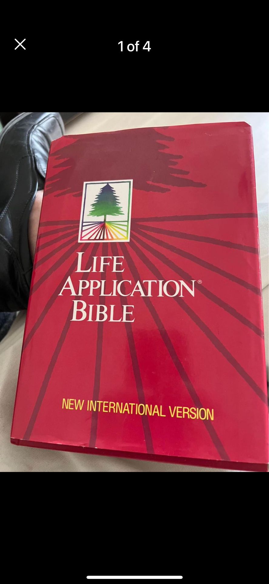 Life Application Bible (NIV)