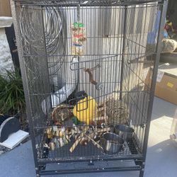 Bird Cage WITH ALL TOYS