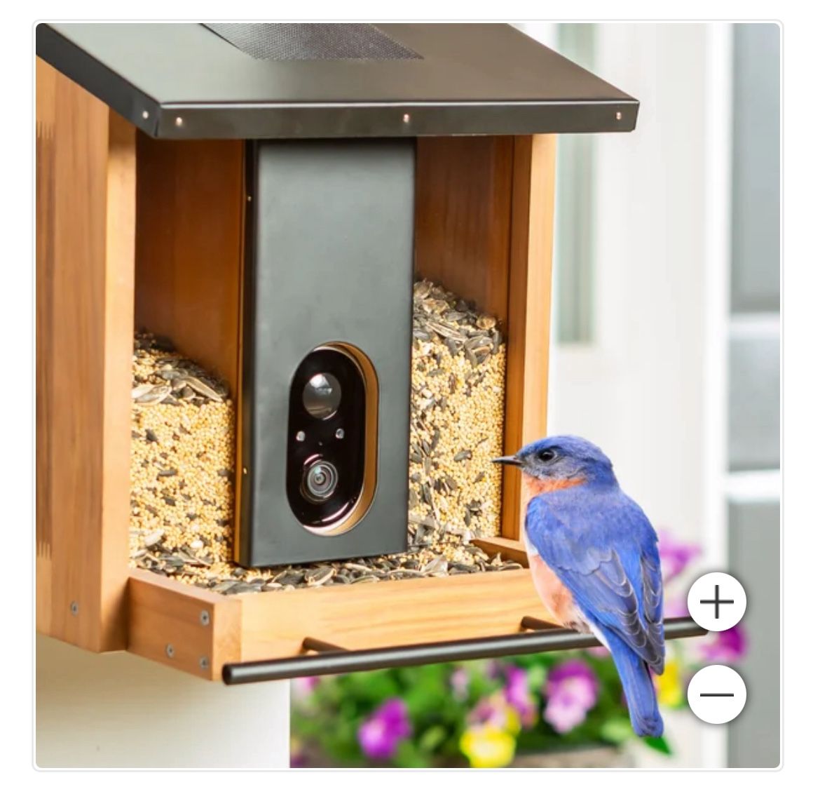 Solar Smart Bird Feeder