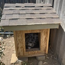 Dog House 