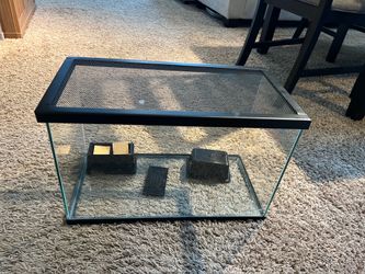 10 gallon terrarium or fish tank