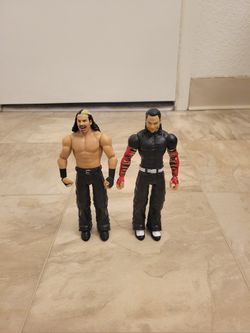 WWE Hardy Brothers Action Figures
