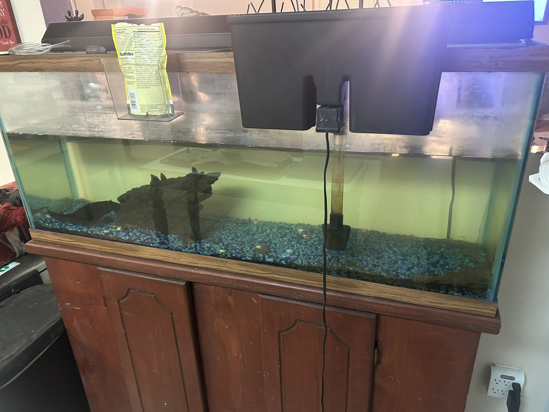 55gal Fish Tank & Stand