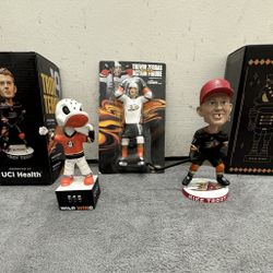Anaheim Ducks Bobble Head Collectibles