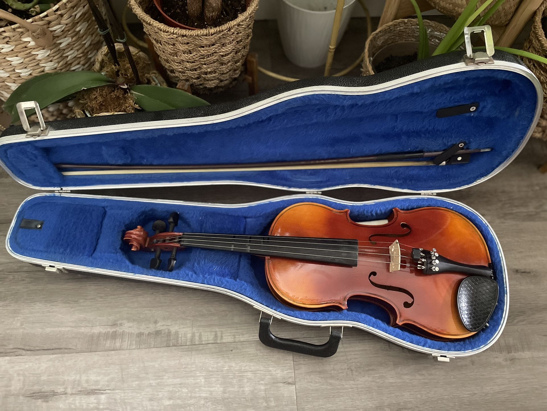Violin