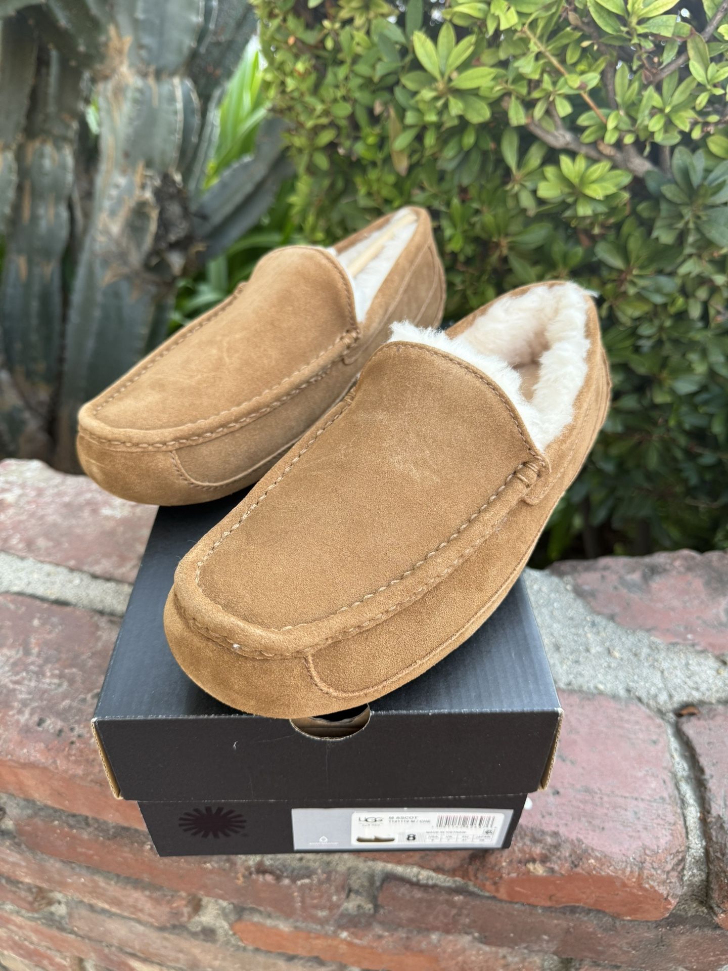UGG slippers