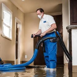 Water Clean Up Vacuum 