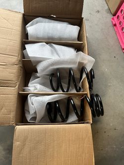 Shelby Gt350R Stock Springs