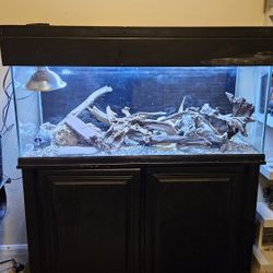 75 GAL OCEANIC TANK, STAND & CANOPY 