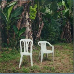 Bad Bunny - Debi Tirar Mas Fotos (2025 Gatefold 2 Blue Vinyls