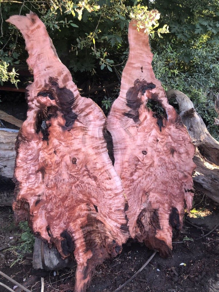 24x84 REDWOOD BURL
