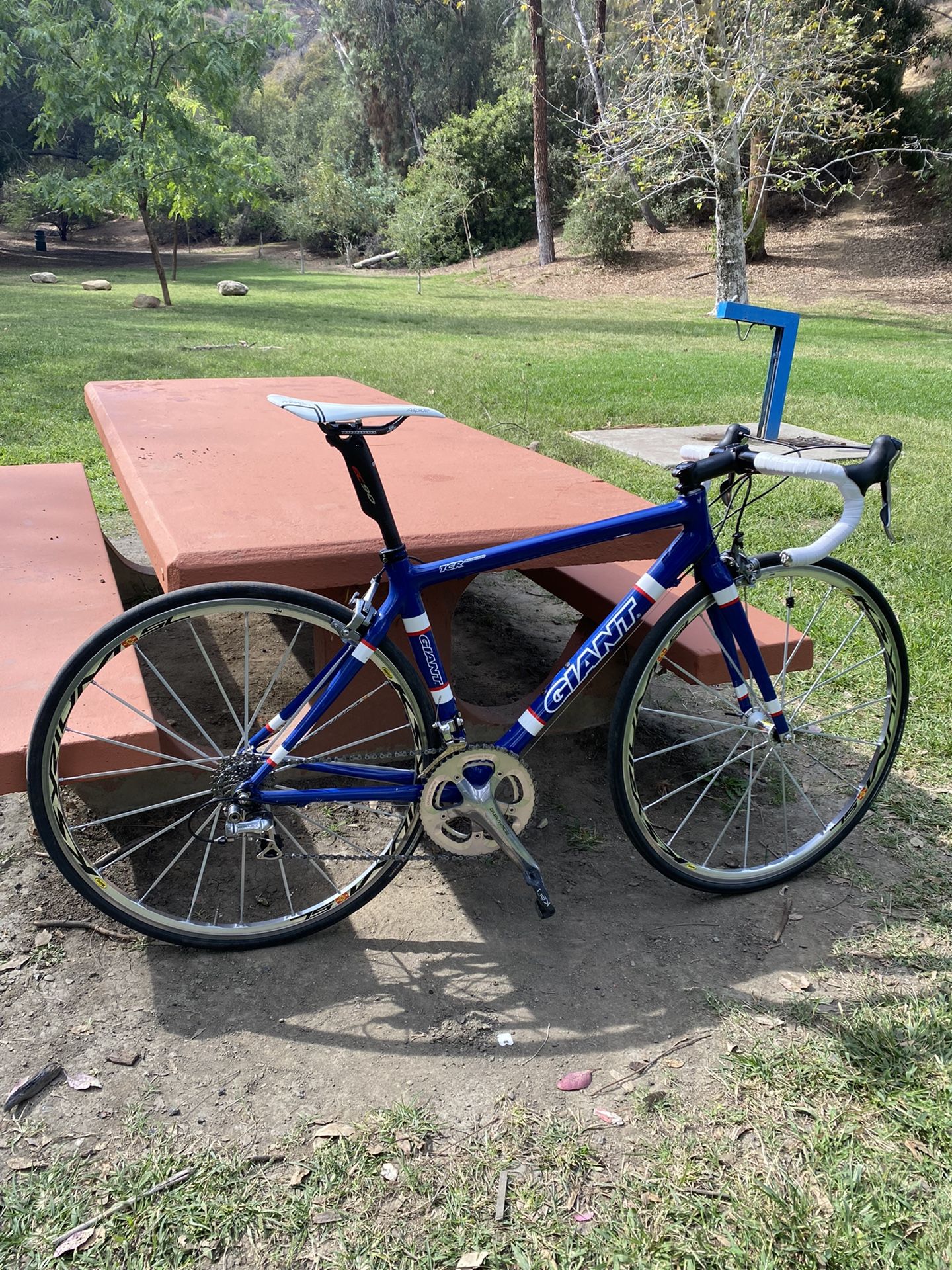 Giant Tcr 50cm 