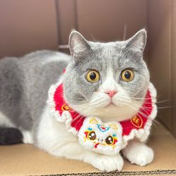 Handmade Lucky Cat Crochet Collar for Pets