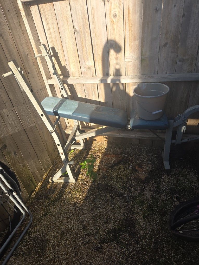 Weight Bench