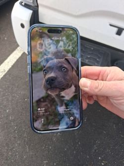 Apple iPhone 17 pro 256GB
