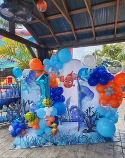 Party Items Set Ups For Sale