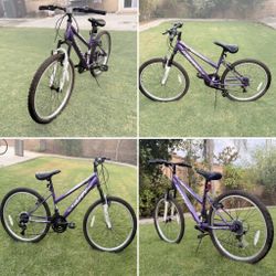 Ladies Bike, 20 inch