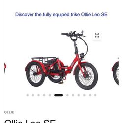 Ollie Leo Electric Trike 