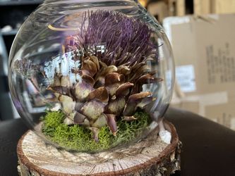 Handmade Real Dried Floral Terrarium